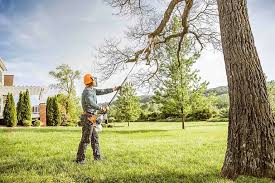 Best Tree Removal Services  in Richmond Heights, OH